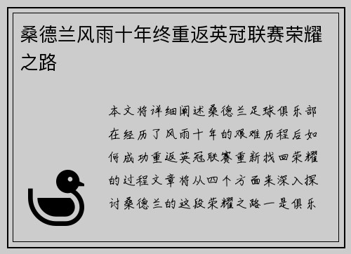 桑德兰风雨十年终重返英冠联赛荣耀之路 桑德兰风雨十年终重返英冠联赛荣耀之路